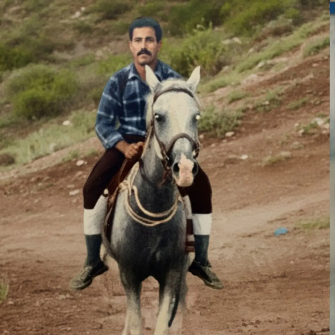 بعد از ترمیم - نمونه ۳